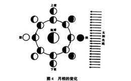 一分为二法则与股市节律：朔望月