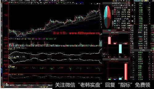 大智慧庄见愁指标