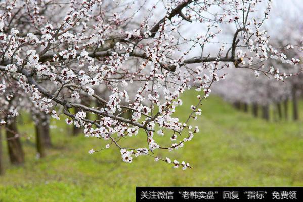 “日日丰”有名字加成，蔚蓝生物有望成为新龙头