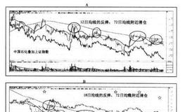 “熊市"行情下的反弹代表什么？