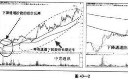 “神奇通道”如何发现与选择“黑马”？