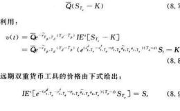 什么是远期双重货币工具、双重货币标价的欧式基本香草期权工具？