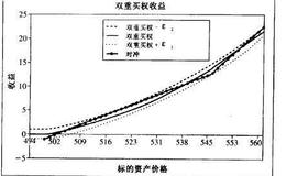 什么是复合期权的静态避险？