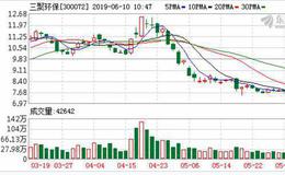 <em>三聚环保</em>：连续5日融资净偿还累计3638.2万元（06-06）