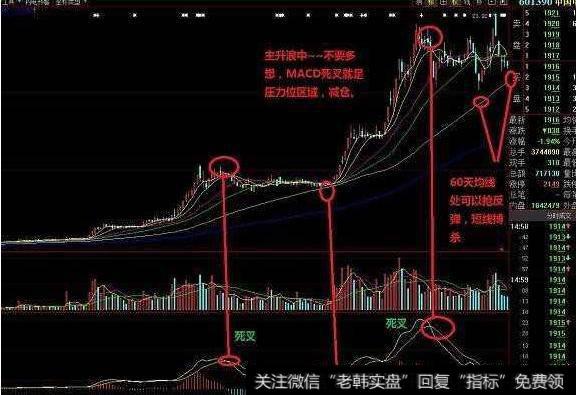 大智慧飞天格格主图指标