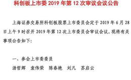 马不停蹄！6月最后一个工作日将有两批科创板企业上会