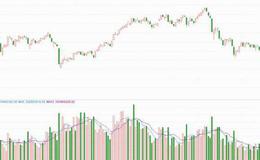 通达信点今明日指标公式源码详解