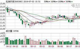 <em>龙净环保</em>：融资净买入177.22万元，融资余额4.57亿元（07-02）