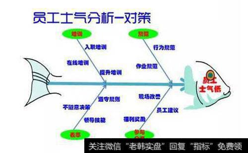 如何进行实用步骤的实例讲解？