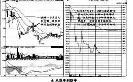 从涨停到跌停的股票走势分析