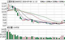 <em>三聚环保</em>：连续10日融资净买入累计4625.88万元（07-05）