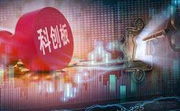 9家科创板公司网下初步配售结果出炉 4家公司战略投资者现员工持股资管计划