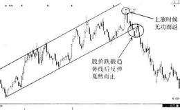 [投资者进行基本面分析中的错误]显失公正的分析