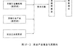 产业基金运作系统是如何保证科学的金融管理措施的实现的？