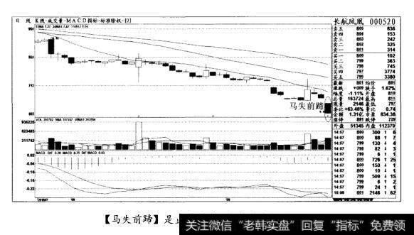 [马失前蹄]是止跌形态，轻仓试探(图五)