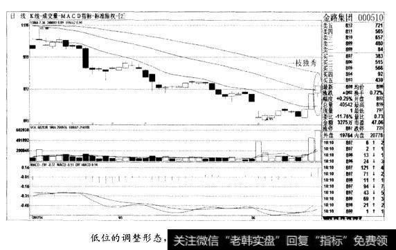 低位的调整形态，也要做相应的处理(图十五)