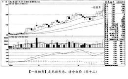 经典案例<em>青岛海尔</em>分析股市的加仓与进仓时机