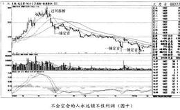 为何不会空仓的人永远锁不住利润？