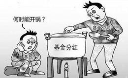 基金持有人的权利与义务是什么？