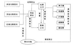 创业基金是如何运作的 ？