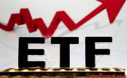 ETF适合哪些类型的投资者？