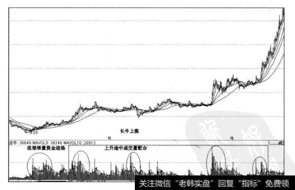 图5-19敬庆啤洒日线图