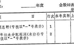 股份公司财务报表：利润分配表