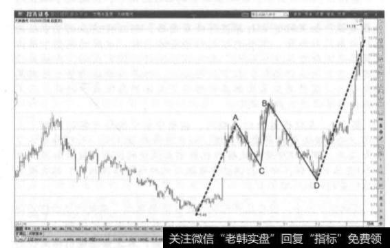 局部中枢的延续与多变性是什么？