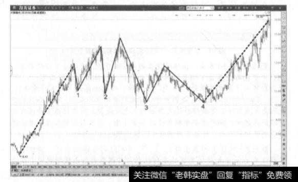 局部中枢的延续与多变性是什么？