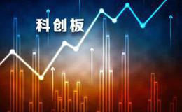 科创板首周成绩曝光多家公募打新基金规模业绩齐升