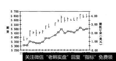 期权在处理带小数部分的合约数量时起到了什么作用？