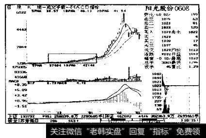 阳光股份