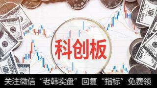 开盘半小时内多只个股股价振幅超10% 游资短打带动科创板深V巨震