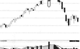 “黑马”如何变为“白马”？ “黑马”的技术信号是什么？