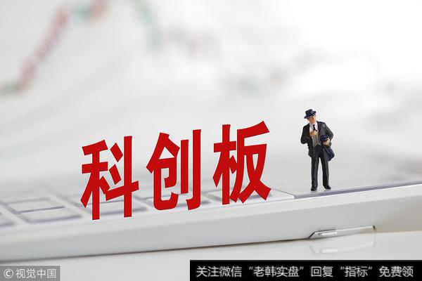 新上市公司为主力 科创板新丁在列