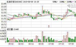 龙净环保：连续4日融资净买入累计832.31万元（08-08）