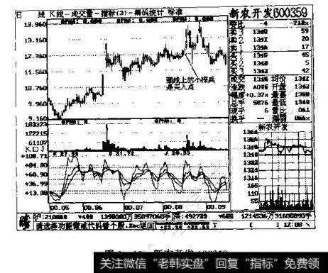 图3-13 新农开发600359