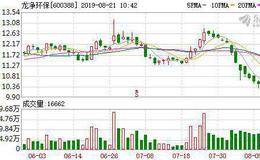 龙净环保：融资净偿还261.87万元，融资余额4.26亿元（08-20）