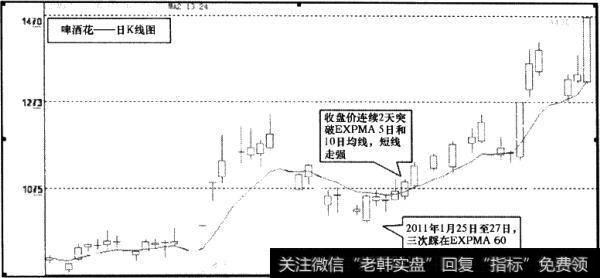 啤酒花(600090)日K线图