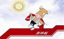 什么是交易的三大支柱？