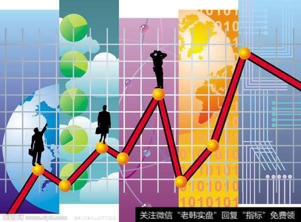 公司股东情况核查依据、程序和方法及要点