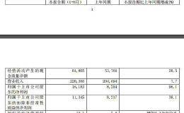 <em>中国太保</em>：上半年净利润161.83亿元 同比增长96%