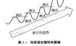 自我强化循环过程详解