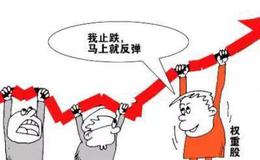 如何对付<em>主力洗盘</em>？