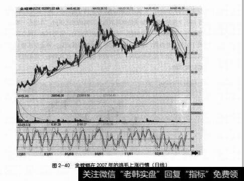 图2-40金螳螂在2007年的鸡毛上涨行情（日线）