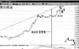 如何理解双飞乌鸦？双飞乌鸦有哪些特征？