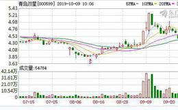 <em>青岛双星</em>股份有限公司关于双星集团启动混合所有制改革工作的公告