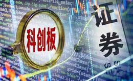 “应考”三季报 科创板公司底气足