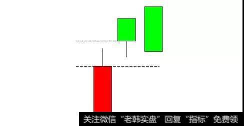 双飞乌鸦的具体形态