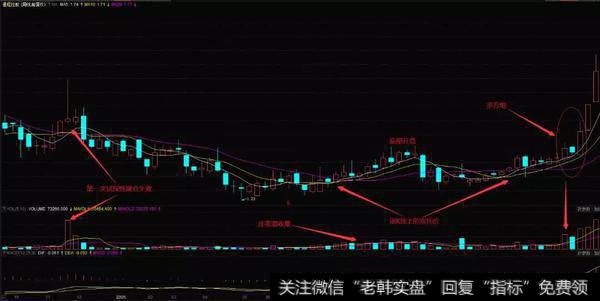 通程控股（000419）在2004年10月至2006年3月的周K线图